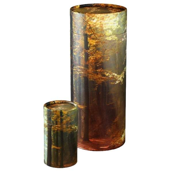 Autumn Woods Scattering Tube