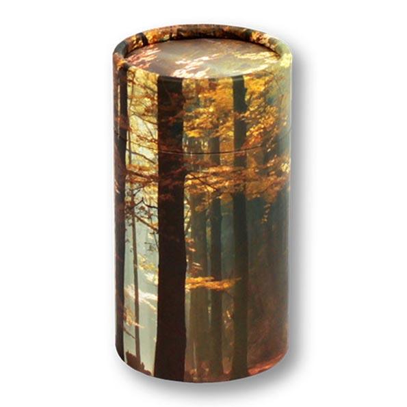 Autumn Woods Scattering Tube 2