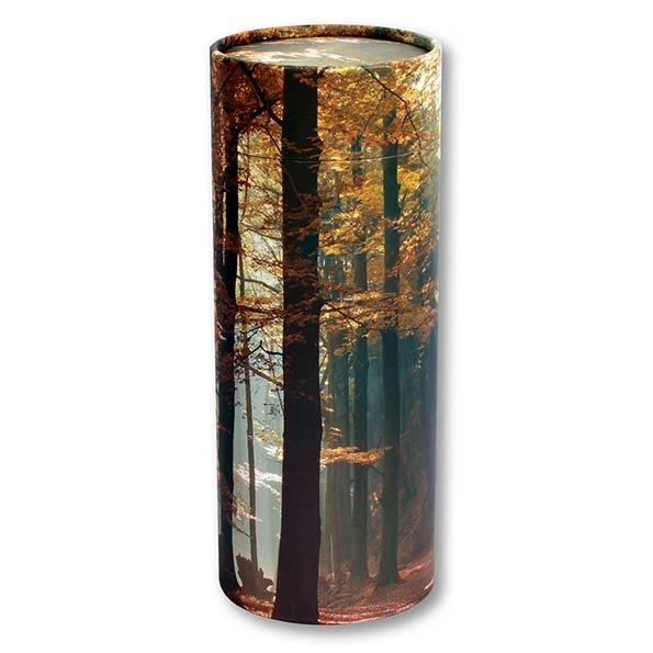 Autumn Woods Scattering Tube 3