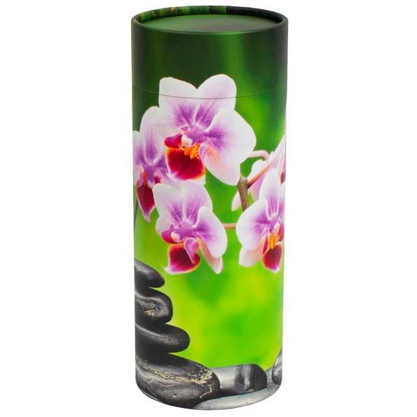 Orchid Scattering Tube 3